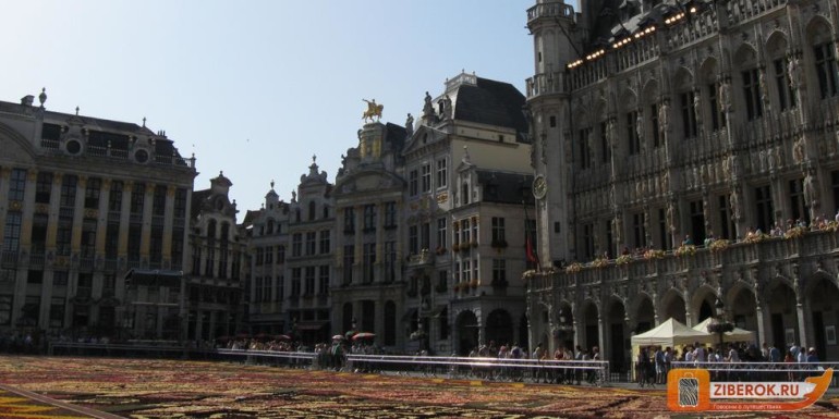 цветочный фестиваль в Бельгии