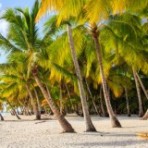 Особенности отдыха в солнечной Доминикане